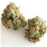 Шишки "White Widow"  (Белая вдова)  Гидропоника -  Бошка VHQ в Дербенте